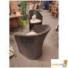 wickerstoelen met kussens