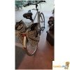 Herenfiets Ficarius Trekking