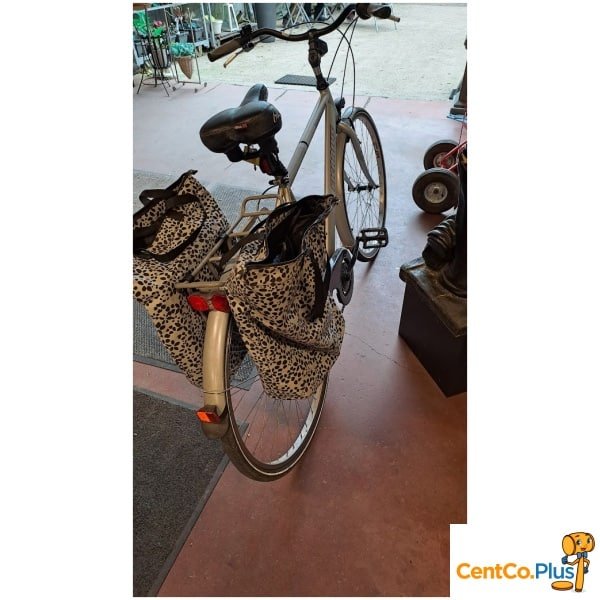 Herenfiets Ficarius Trekking