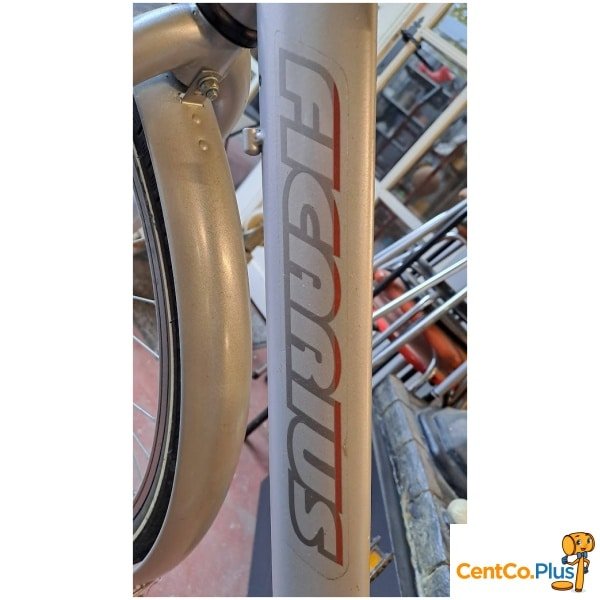 Herenfiets Ficarius Trekking